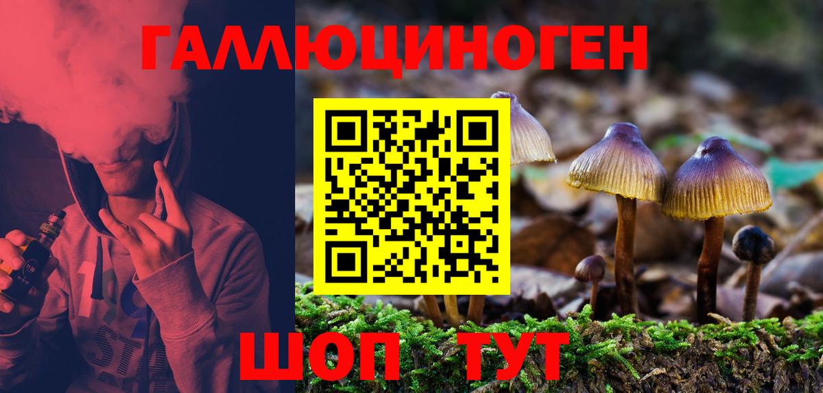 Галлюциногенные грибы GOLDEN TEACHER Трёхгорный